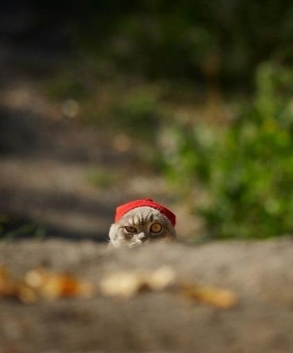 Лёха Парафиленко | Калининград