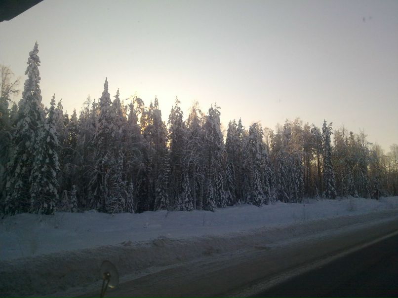Дэн Соловей | Санкт-Петербург
