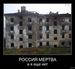 Тёма Бабкин фотография #27
