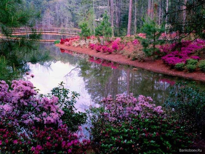 Сергей Прохоров | 