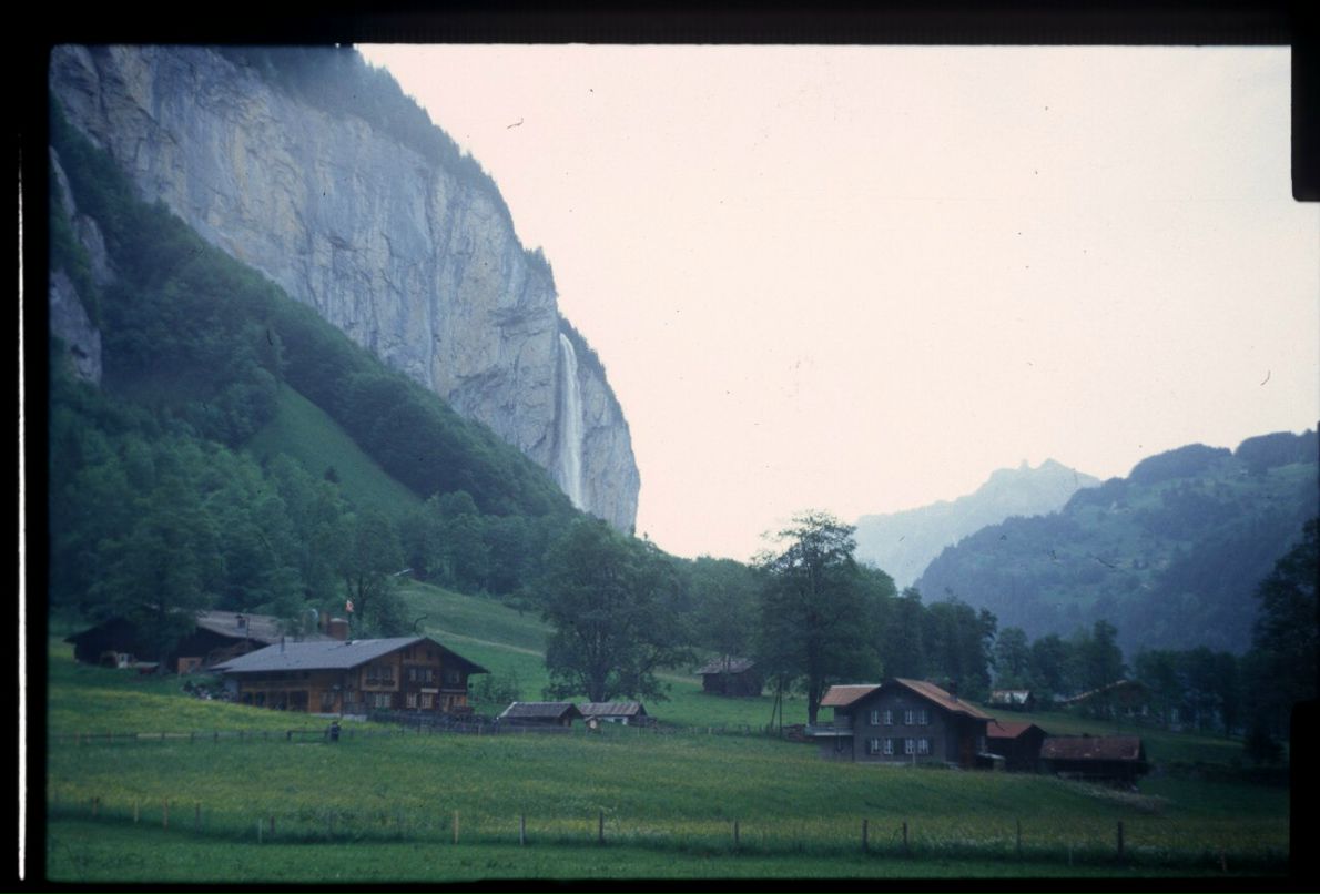 Роман Гейгерт | 