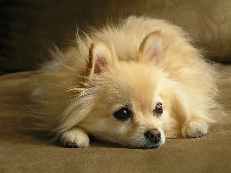 №38, Ирина Сизова, Вологда №38, Ирина Сизова, Вологда