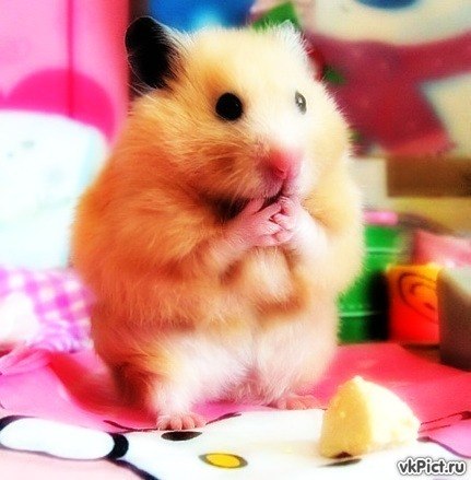 Настя Струк | Одесса