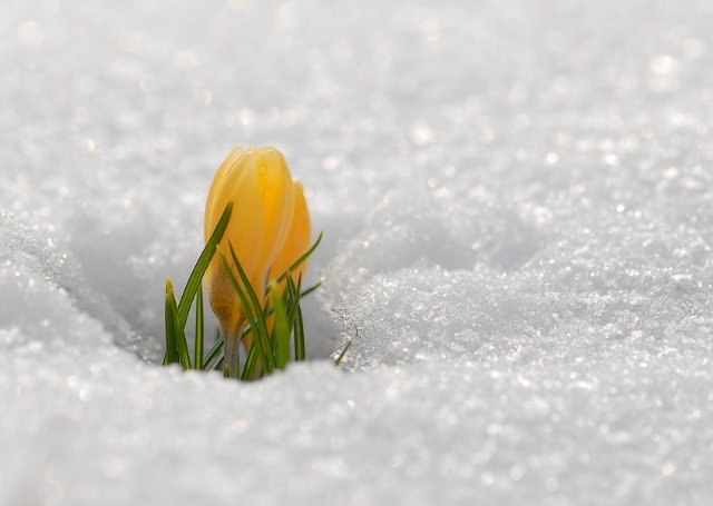 Екатерина Бельскова | Самара