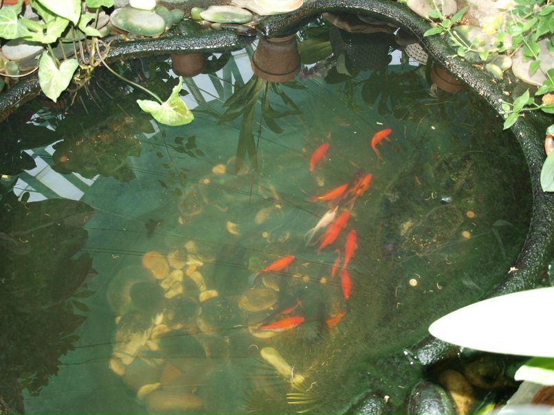 Резеда Сафиуллина | Казань