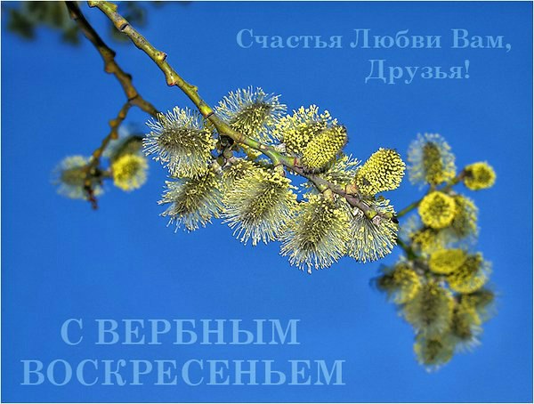 №21, Ирина Молодова, 41 год, Летичев №21, Ирина Молодова, 41 год, Летичев