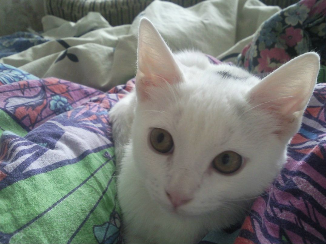 Юлия Маркова | Санкт-Петербург