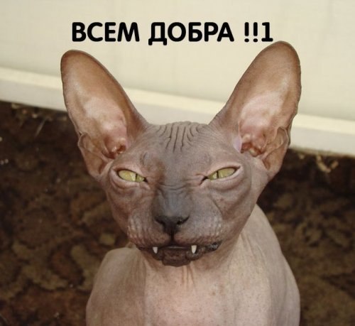 Евгений Лякин Андреевич | Тула