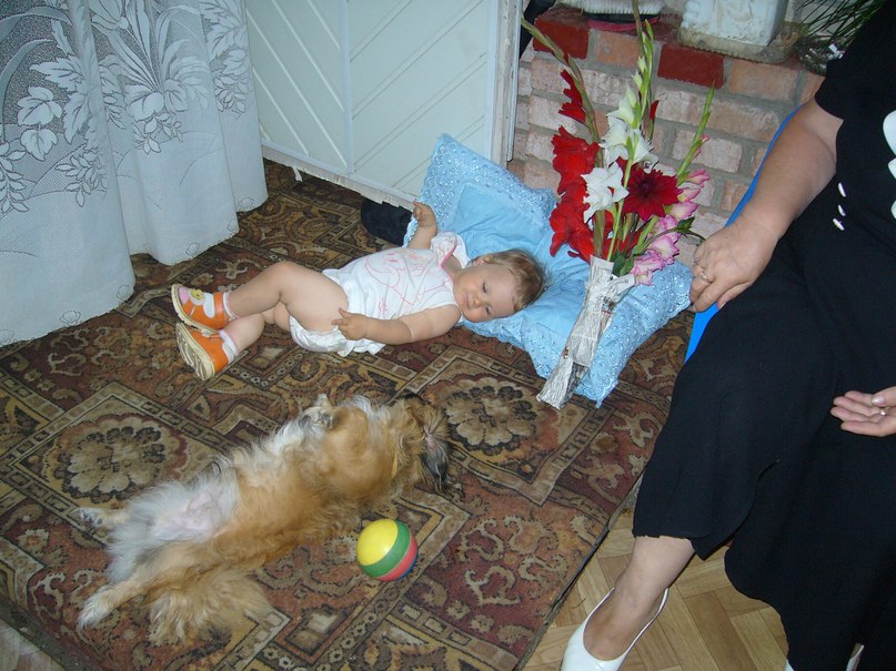 Андрей Марков | Сургут