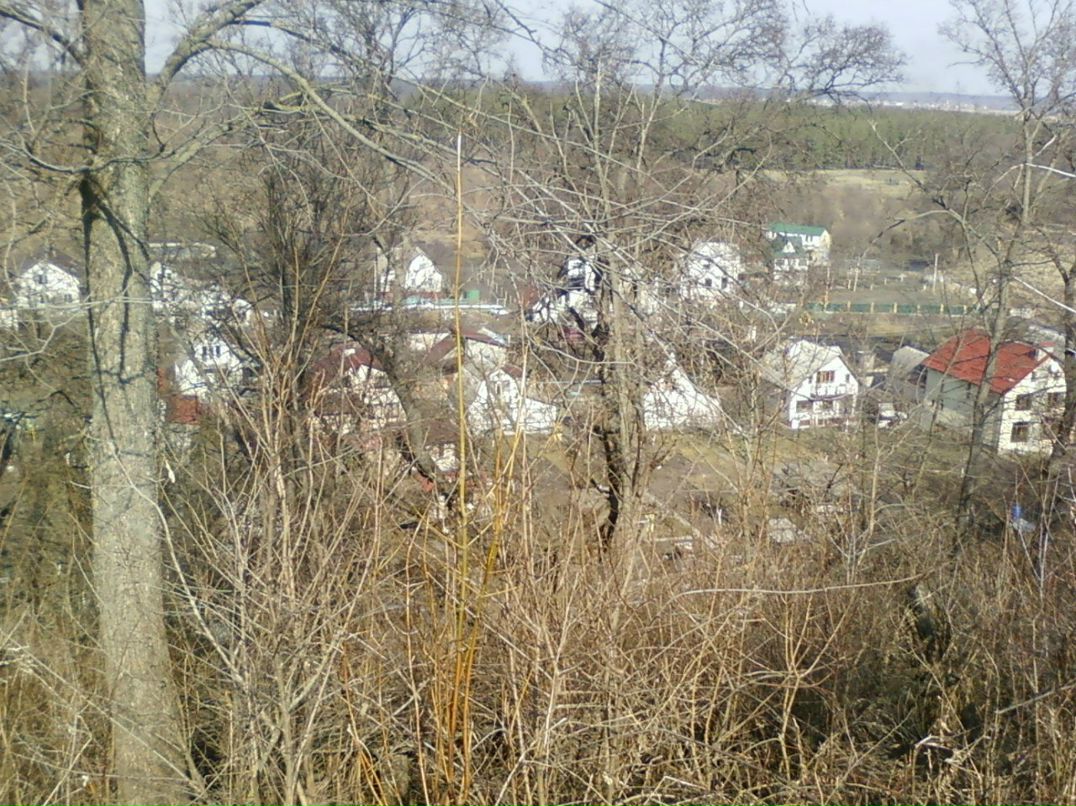 Коля Савченко | Обухов