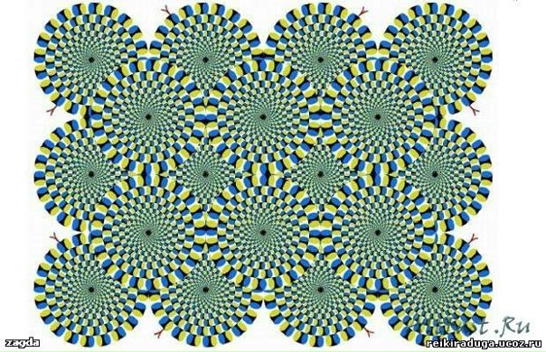 №111, Иолла Захарова, 32 года, Волгоград №111, Иолла Захарова, 32 года, Волгоград