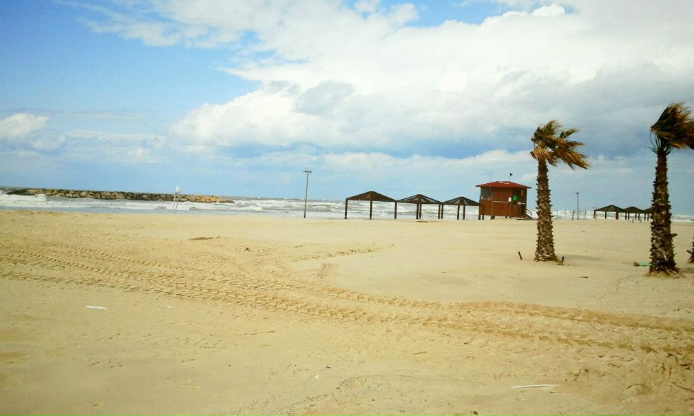 №5, Dr Annette №5, Dr Annette