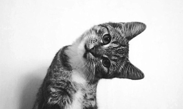 Анна Корецкая | Москва