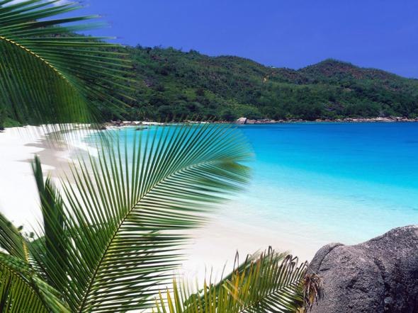 Анастасия Цветкова | Москва