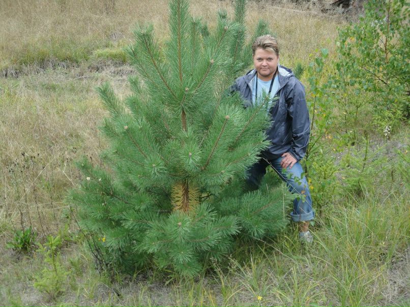 Наталья Деркачева | 