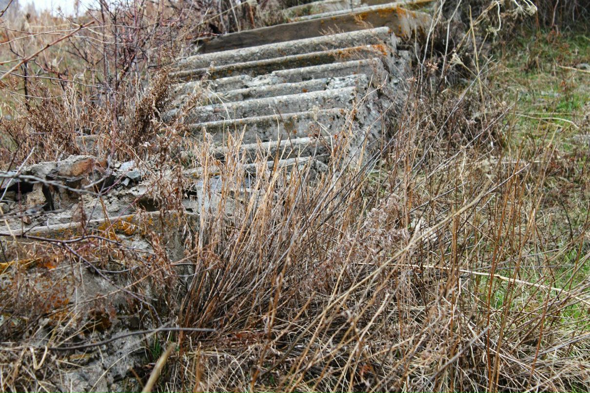 Николай Шмидт Михалыч | Алматы