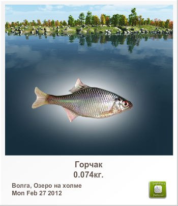 Сергей Сусойкин | Рязань