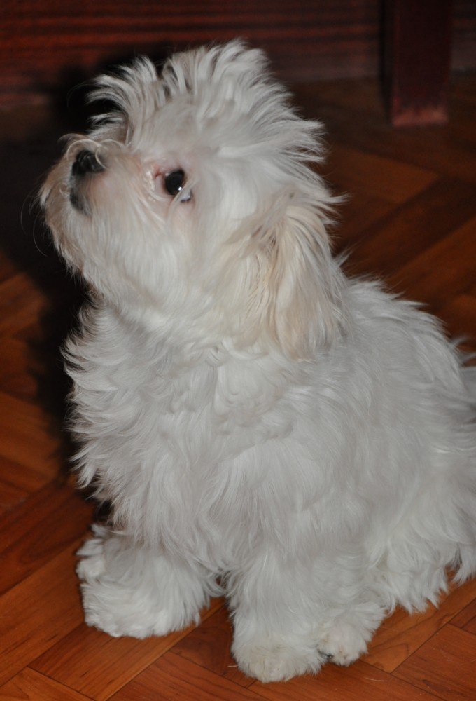 Марина Лазарева | Москва