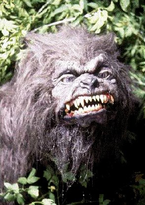 Дмитрий Андреев (BuBa) | Москва