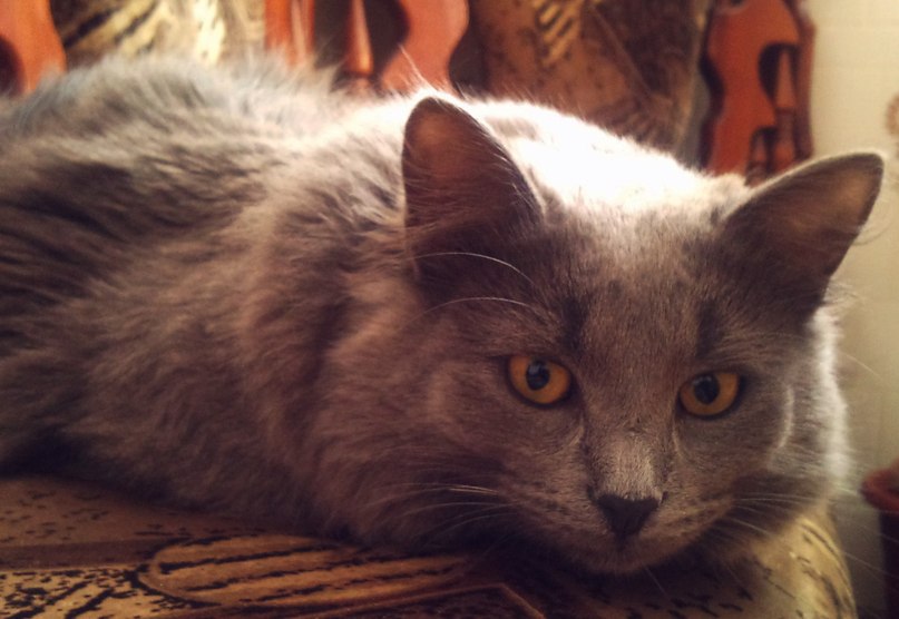 Карина Кислова | Москва