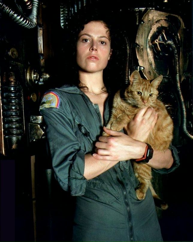 Ольга Никифорова rudens | Самара