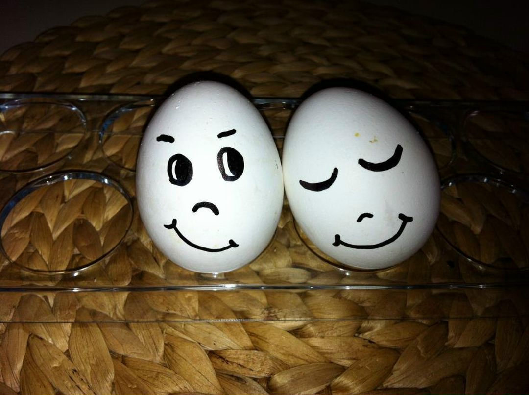 Safa MalkoÇ | Alanya