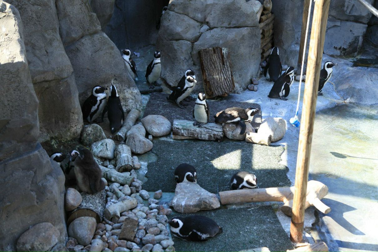 Кира Кучумова | Vigo