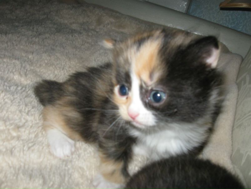 №128, Зоя Рассказова, 39 лет, Новосибирск №128, Зоя Рассказова, 39 лет, Новосибирск