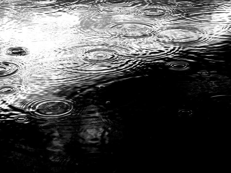 Марина Малкова | 