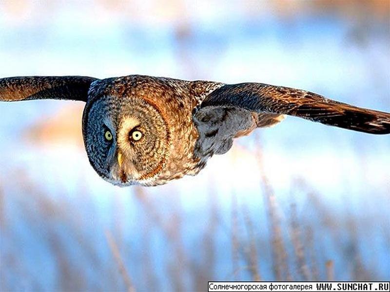 Мария Кобрунова | Москва