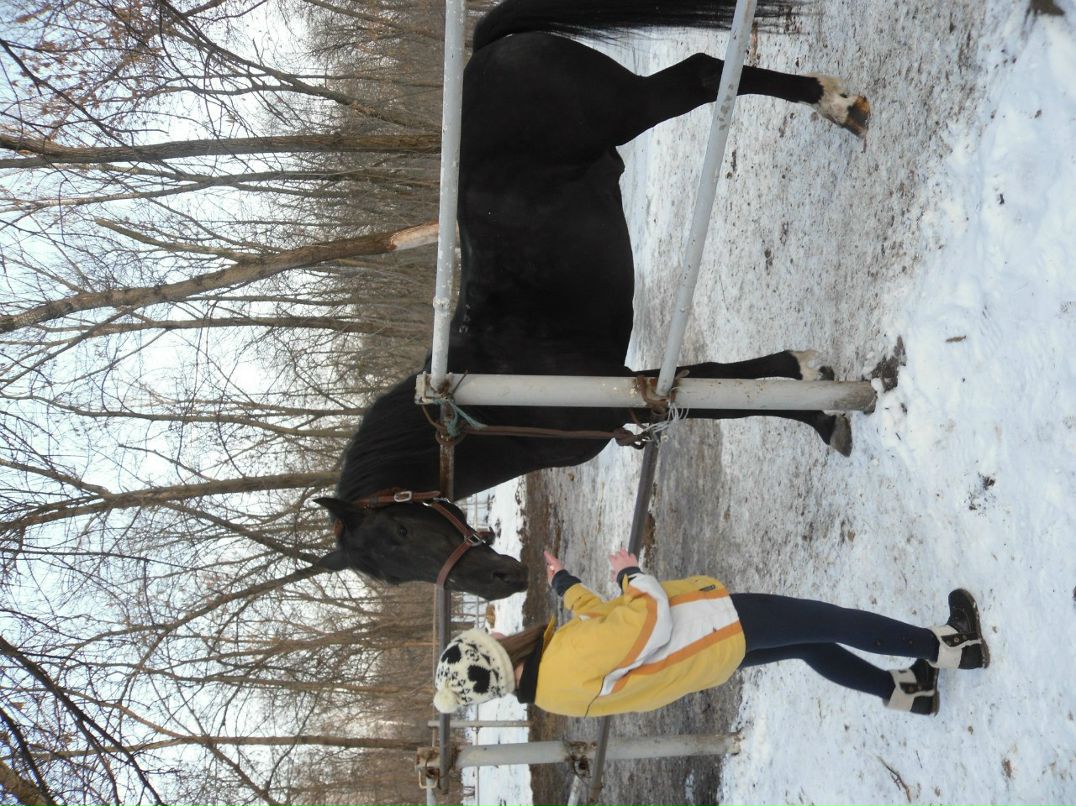 Елизавета Пасичник | Киев