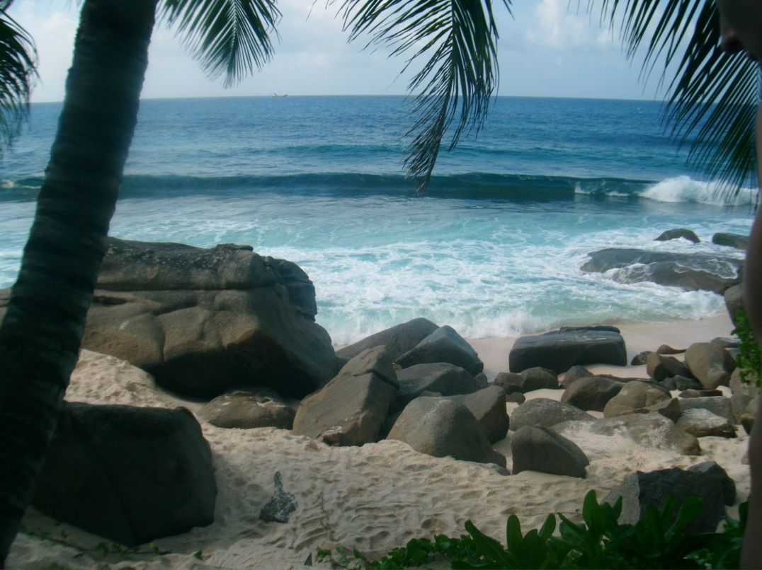 Barbie Коршунова ღ | Wien