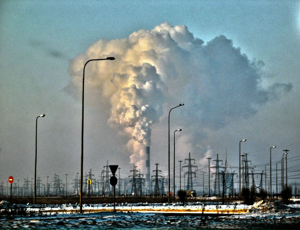 Андрей Лёвушкин | Санкт-Петербург