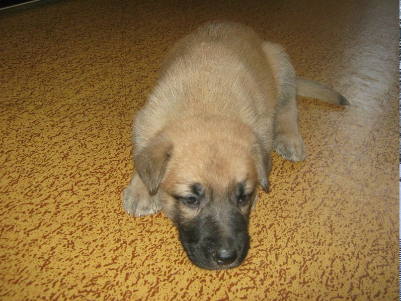 Надежда Низовцева | Балаково