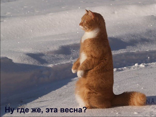 Татьяна Мухсинова | Челябинск