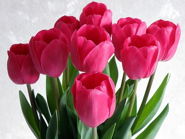 Марина Королева | Санкт-Петербург