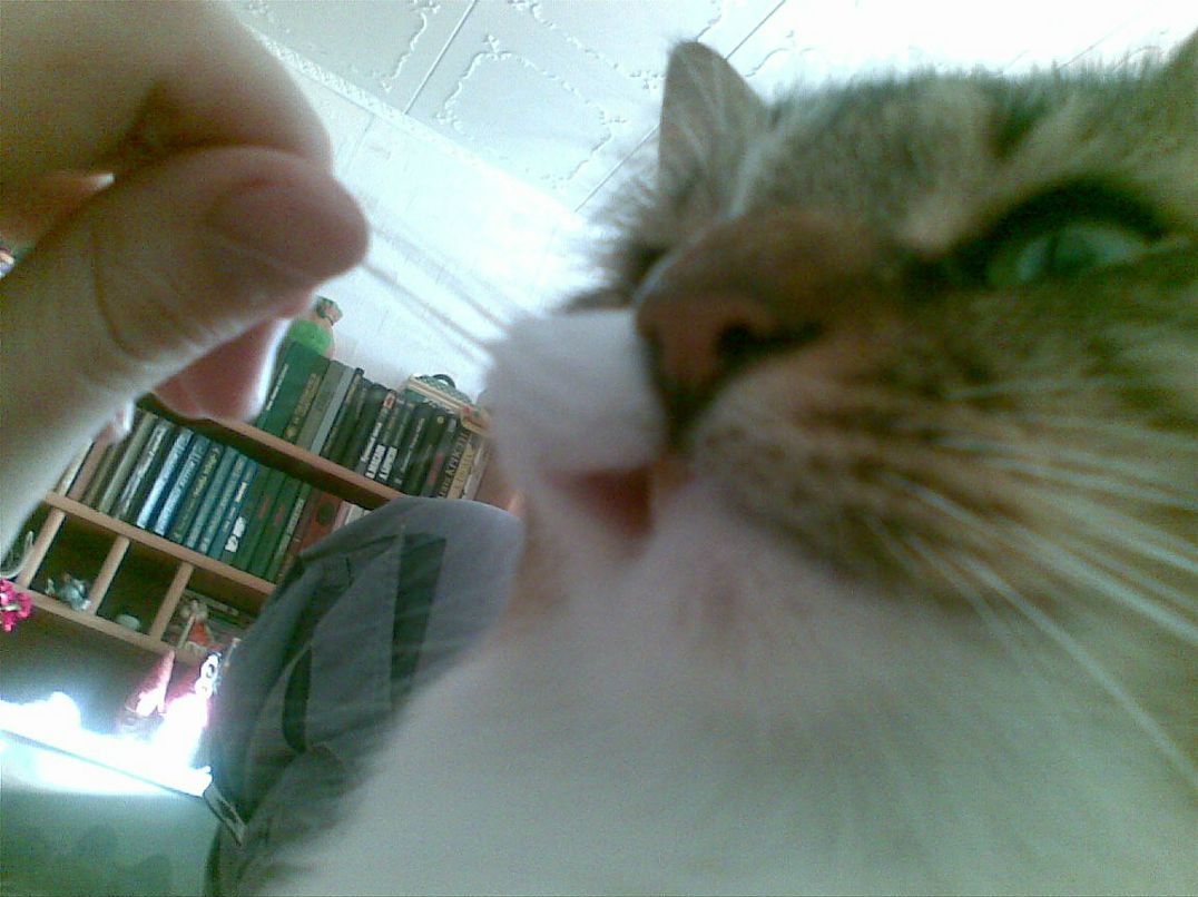 Сергей Гележа Bzzz | Санкт-Петербург