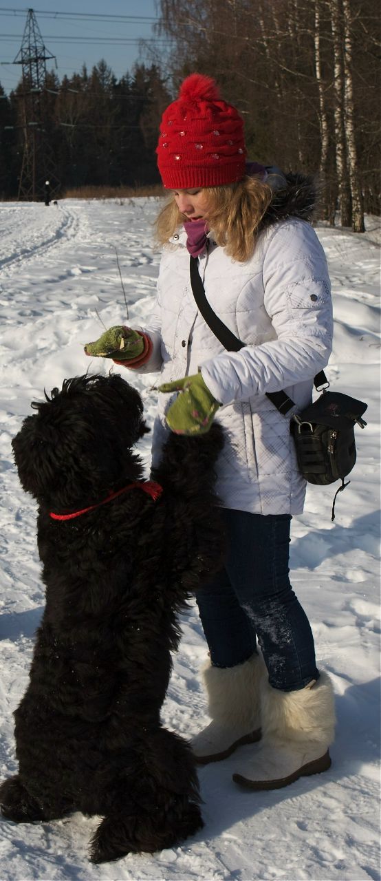 Анастасия Тренихина | Зеленоград