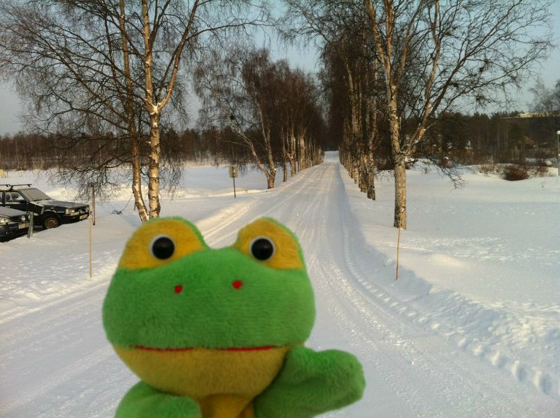 Лягушка Путешественник | 