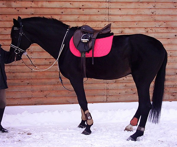Владимир Ведерников | Санкт-Петербург