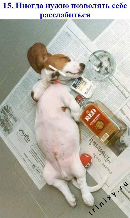 Ольга Александровна | Москва