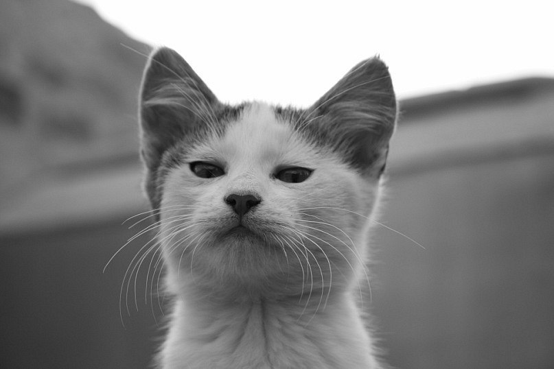 Сергей Смирнов | Самара