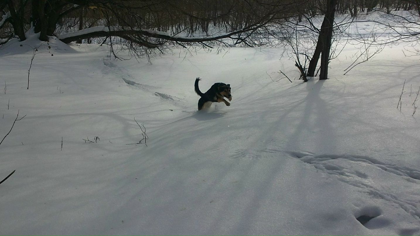 Станислав Борисов | Москва