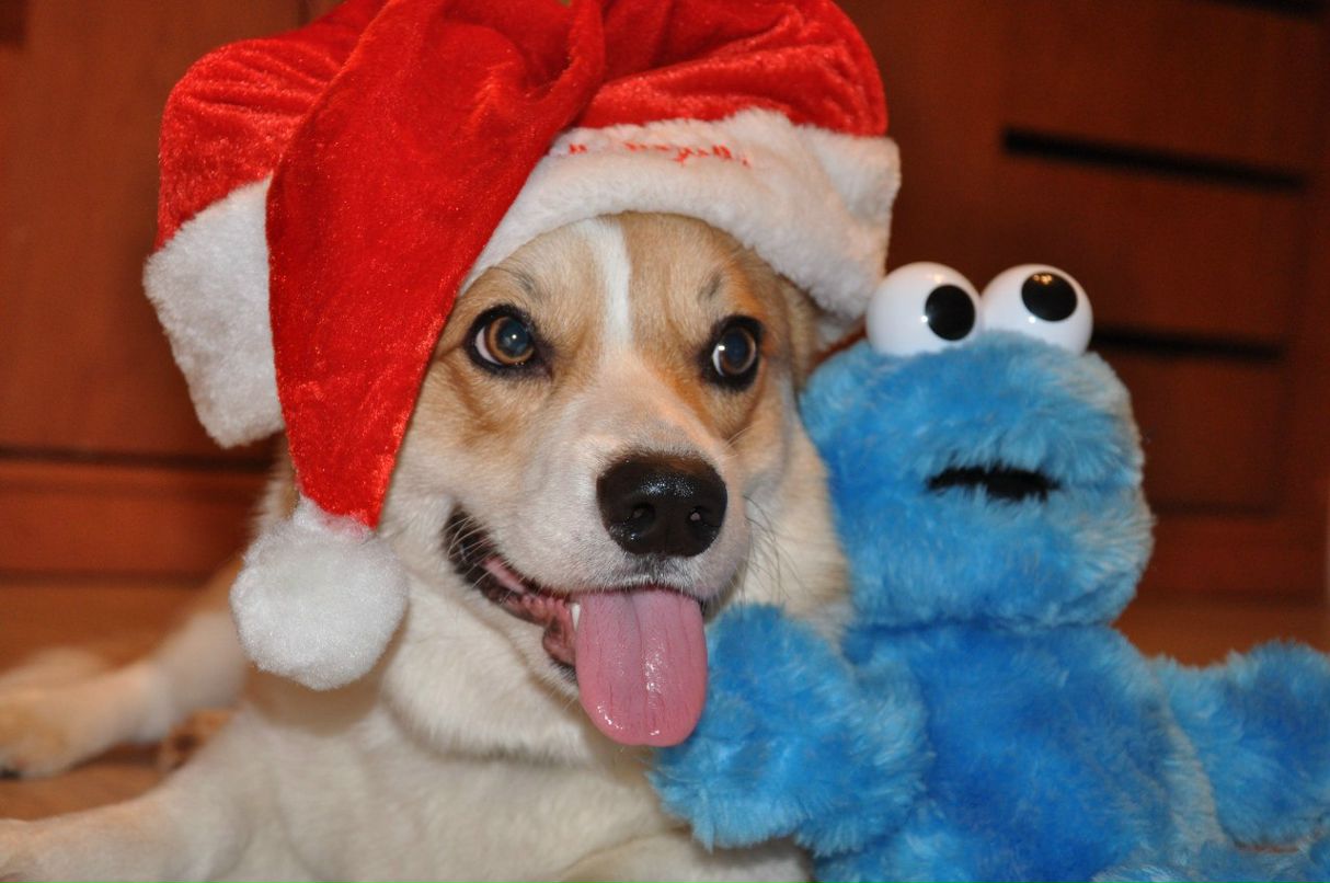 Александр Шлепиков АЙ-ЯЙ | Самара