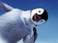 Екатерина Васильева | Санкт-Петербург