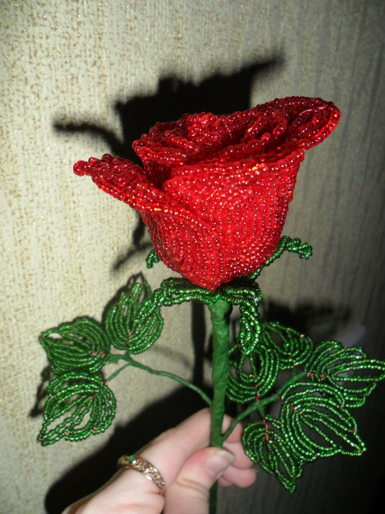 Марина Ткаченко | Черкассы