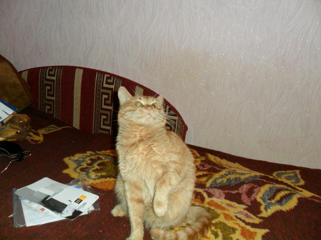 Игорь Туренко | Boston