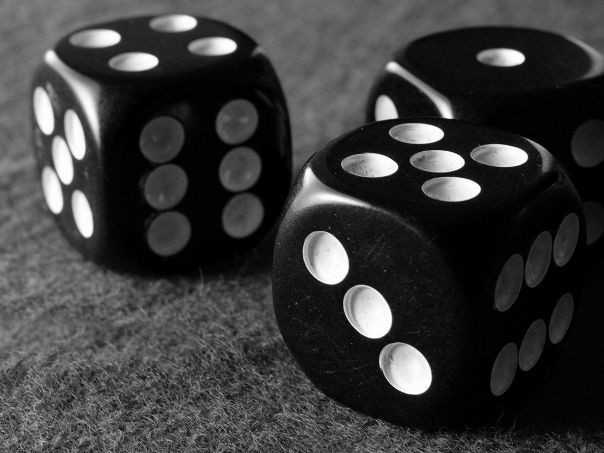 №56, Играй Жив, 32 года №56, Играй Жив, 32 года