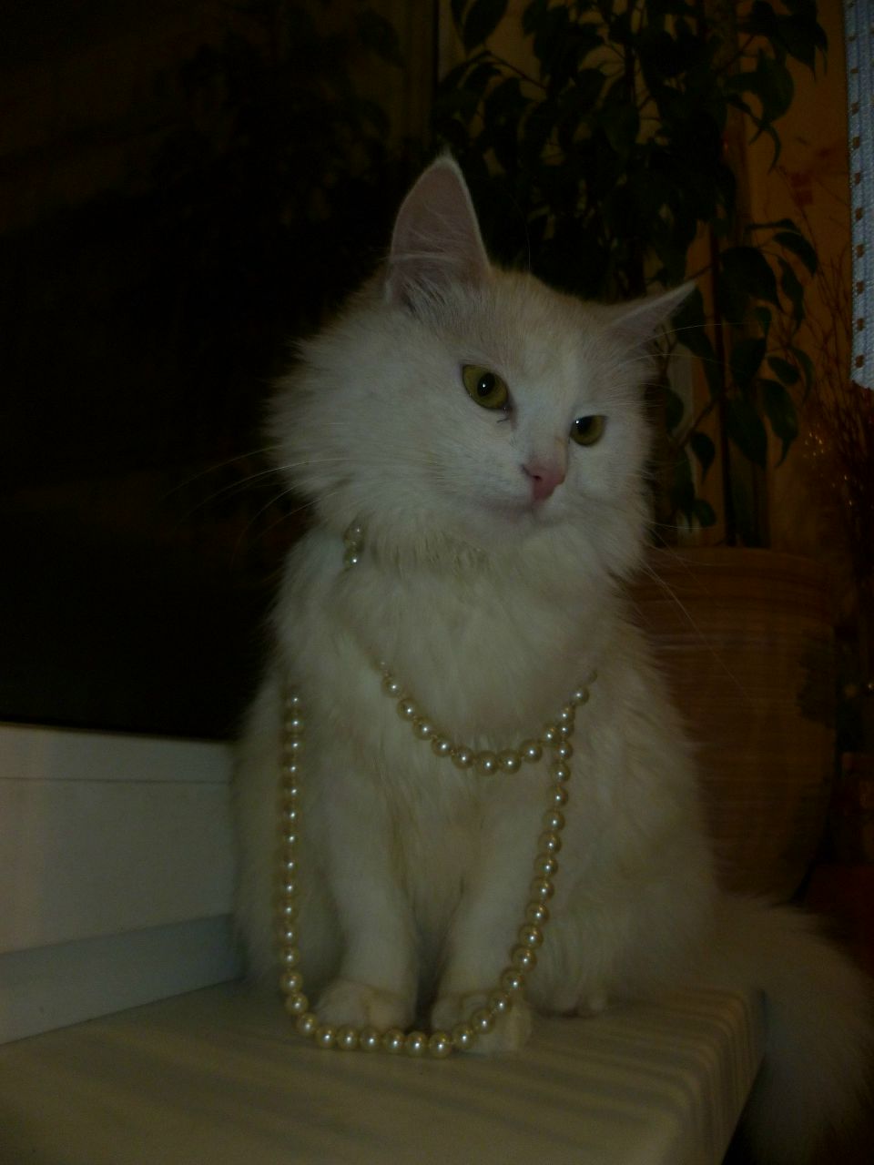 Ольга Ткаченко | Минск