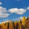 №99, Наталья Аджигитова, 58 лет, Астана №99, Наталья Аджигитова, 58 лет, Астана